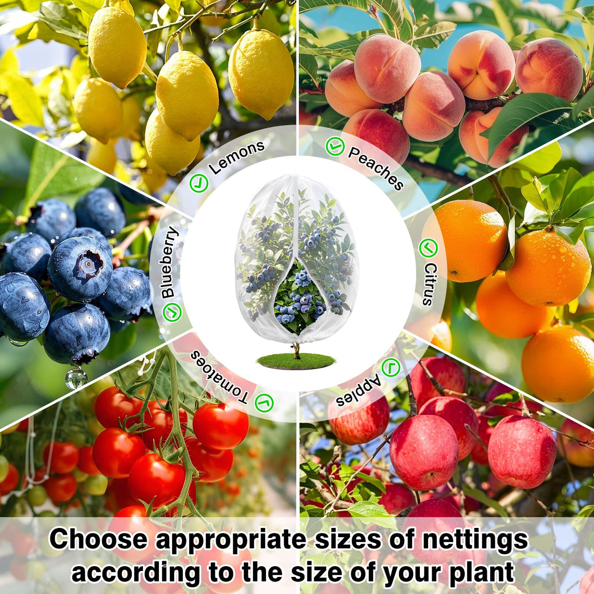 4PCS 4Ft × 5Ft Fruit Tree Netting with Zipper and Drawstring, 60 Mesh Thickened Garden Bird Netting for Blueberry Bushes, Fruits, Vegetables, Insect Bird Barrier Mesh Protective Cover