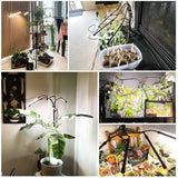 Garpsen Grow Lights for Indoor Plants, 5 Heads Full Spectrum Grow Light with Adjustable Tripod Stand, 100PCS LEDs Plant Light for Indoor Plants with 6/12/16H Timer and 3 Light Modes(No Clip)
