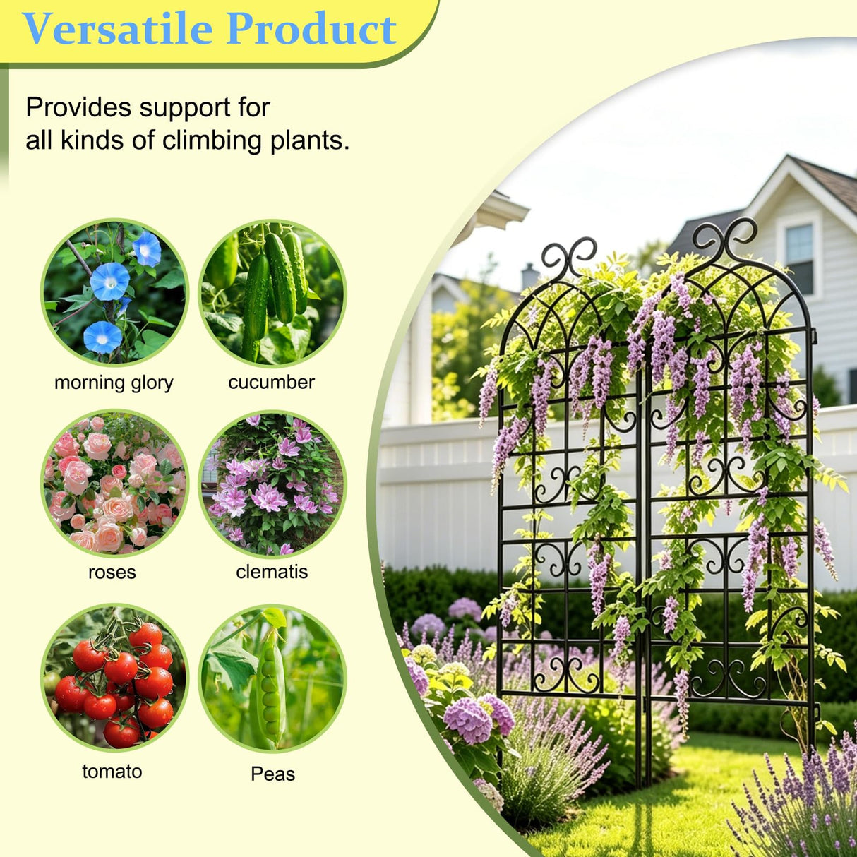 Lorenzo 2 Pcs 70 x 20 Inch Rustic Iron Garden Trellis for Climbing Plants Outdoor, Black Metal Arch Decoration Plant Supporting Perfect for Roses Flower Cucumbers Courtyards Lawns Clematis