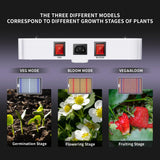 KingLED KP2000 LED Grow Light for Indoor Plants, Full Spectrum Plant Light with Veg & Bloom Mode, 200W Hanging Growing Lamp for Seed Starting Seedlings Vegetable Hydroponic Greenhouse, 3x3 Grow Tent