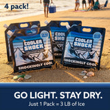 Cooler Shock Reusable Ice Packs for Cooler - Long-Lasting Freezer Packs with Built-in Handle - All-Purpose Medium Size, Pack of 4