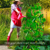 Heavy Duty Cucumber Trellis Thickened for Raised Garden Bed,48"x16" Foldable Frame Metal Vegetable Trellis for Climbing Plants Outdoor Plant Support for Grape Tomato Peas, Fruit, Vine,Bean(1 Pack)