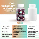 Troop Reishi Mushroom Gummies - Calming Gummies for Adults and Children - Focus Supplement for Stress, Relaxation, Immune Support - 4000mg Triple-Extracted Fruiting Body - Mixed Berry, 60 Count
