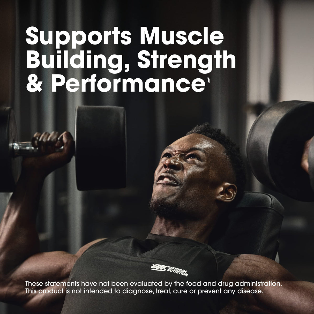 Optimum Nutrition Micronized Creatine Monohydrate Capsules, Keto Friendly, 2500mg, 300 Capsules (Packaging May Vary)