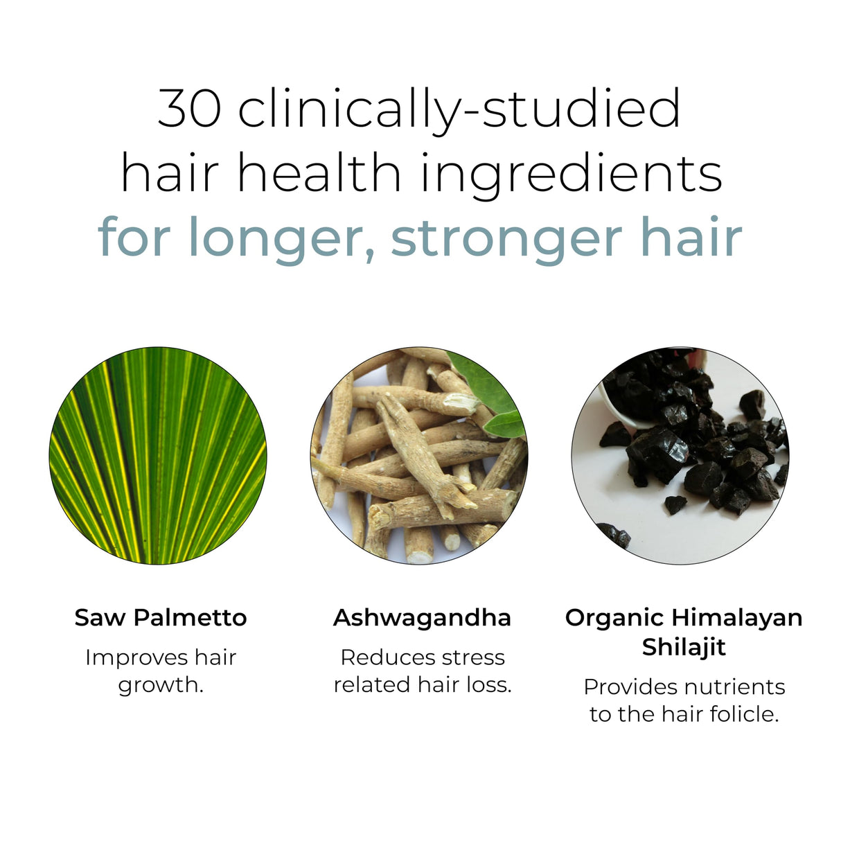 Hush & Hush DeeplyRooted Hair Supplement for Stronger, Healthier Hair - Collagen Hair Growth Pills for Men & Women - Biotin for Hair Loss - Hair Care for Thinning Hair & Hair Regrowth - 120 Capsules