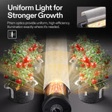 VIVOSUN LumaRay Under Canopy Grow Light, Full Spectrum Dimmable LED Grow Lights for Grow Tents, Greenhouses, SGS Compatible, 100W, 3.28 ft, 1 Pack