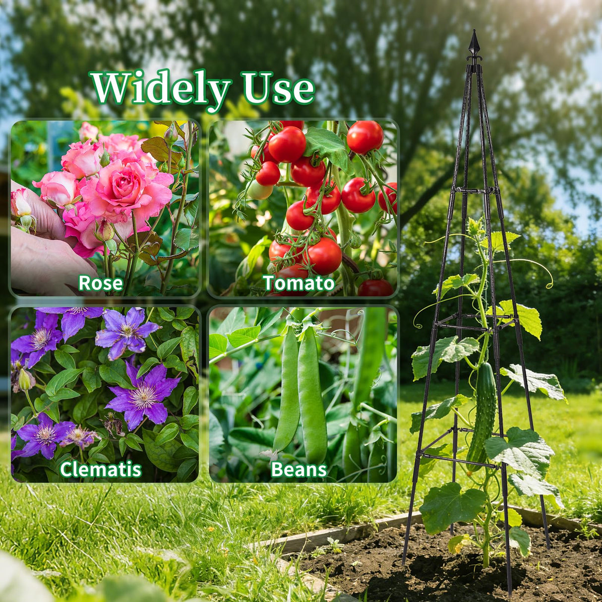 FOLLOOK Cucumber Trellis for Climbing Plants Outdoor, 67", Black, 1 Pack