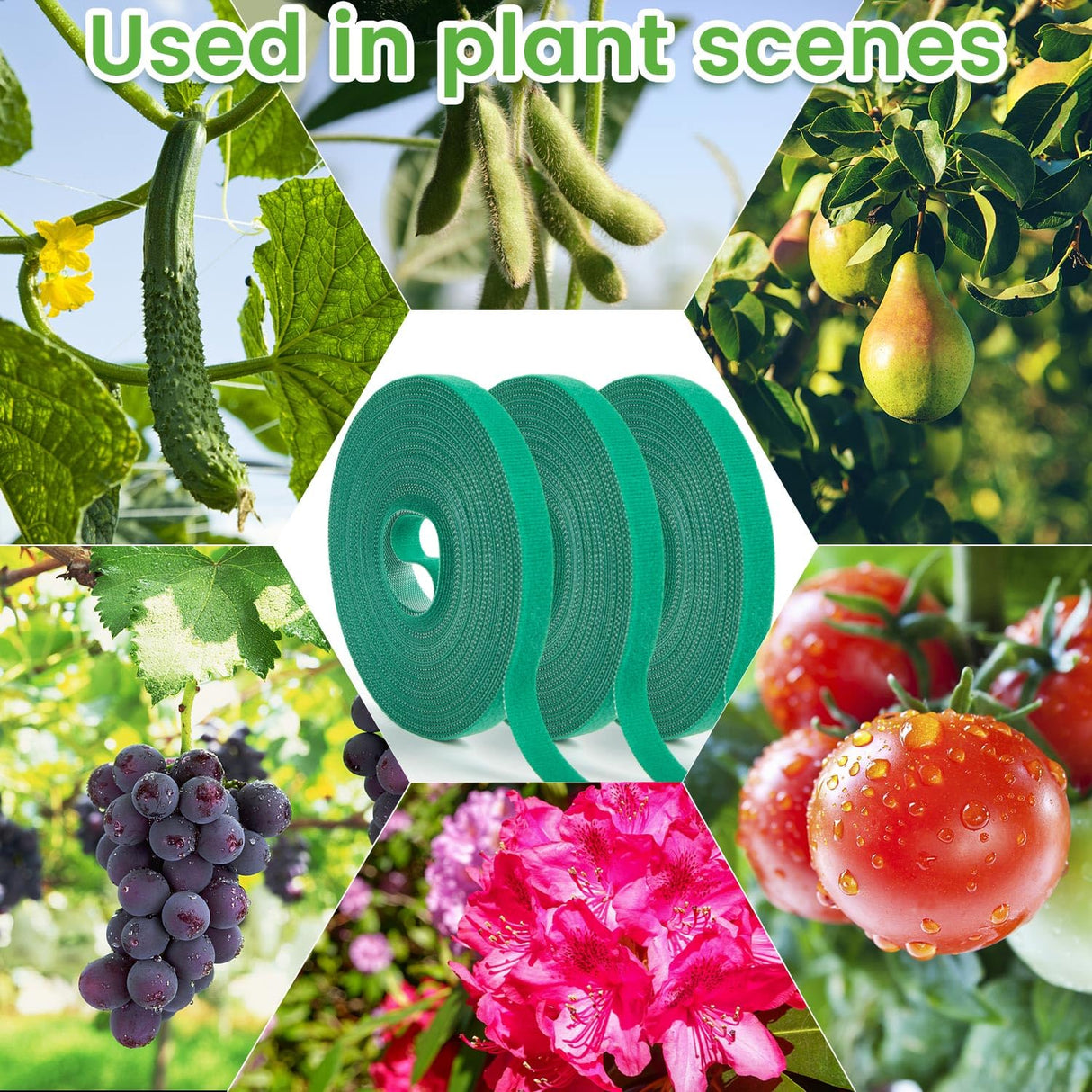 GCTWFYK 12 Rolls Plant Tape, Twist Ties for Plants 1/2" 394ft Garden Plant Ties, Green Tape, Soft and Tomato Plant Ties, Plant Twist Tie for Plant Gardening, Home, Office