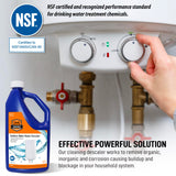 Chromex Tankless Water Heater Flush Kit with NSF Certified Liquid Descaling Solution and 1/6HP Extra Strength Pump