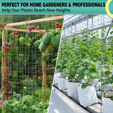 DOLEMODUO 7X 60 Ft Nylon Trellis Netting, 6×6 Heavy Duty Trellis Mesh Garden Netting for Climbing Plants, Use for Tomatoes, Cucumbers, Peas, Grape Racks