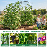 SUNYRISY 71" x 47" x 83" Garden Arch Trellis for Climbing Plants Outdoor