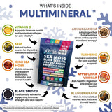 Clean Nutraceuticals Sea Moss Black Seed Oil Ashwagandha Turmeric Bladderwrack Burdock & Vitamin C Vitamin D3 with Elderberry Manuka Dandelion (120 Count (Pack of 1))