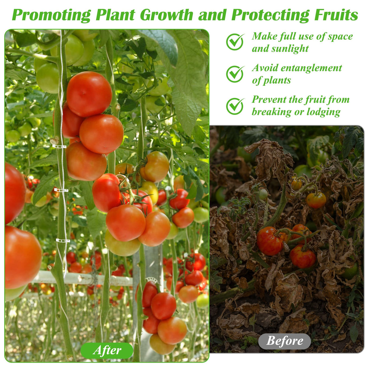 24+240P Tomato Roller Hooks with 49.2FT String and Tomato Trellis Clips, Pletpet Roller Hooks for Tomatoes Trellis Roller Hooks with Twine for Vine Plant Twine Crop