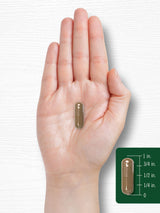 Carlyle Cat's Claw Herb Capsules 1000mg | 180 Count | Uncaria Tomentosa | Non-GMO, Gluten Free Supplement