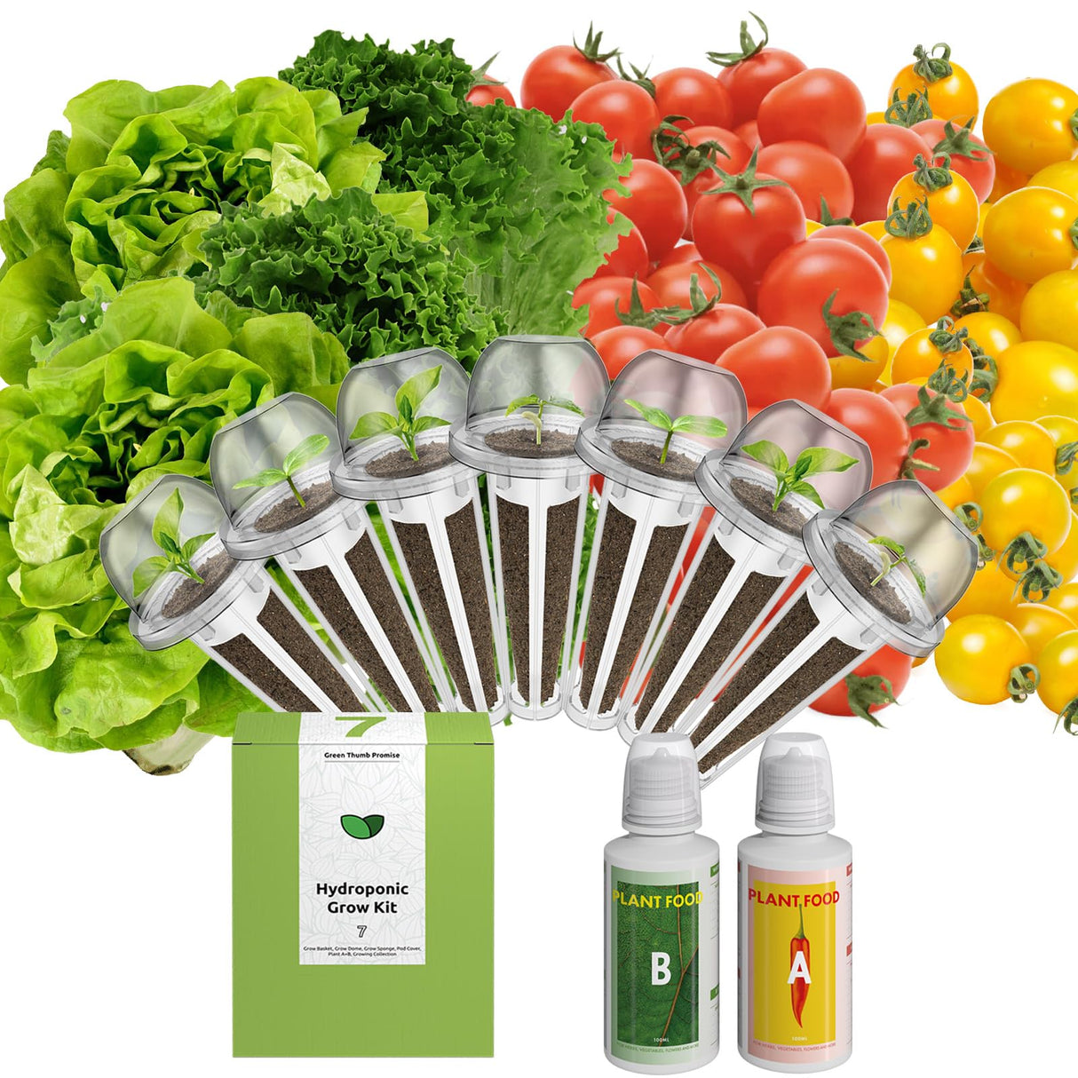 inbloom Organic Salad Green Seed Pod Kit for AeroGarden, Ahopegarden Hydroponics Growing System, Low-Calorie Food, 7-Pods (350+ Seeds, Include Fast and Butter Lettuce, Red and Golden Cherry Tomato)