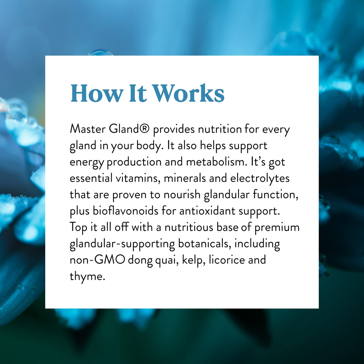 Nature's Sunshine Master Gland, 120 Capsules | Provides Complete Nutritional Support for Every Gland in the Body, Helps Support Energy Metabolism