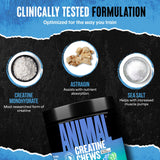 Animal Creatine Chews – Enhanced Creatine Monohydrate Chewable Tablets with AstraGin & Sea Salt, Max Absorption Pre Post-Workout, Lean Muscle Growth, Strength & Recovery, New Flavor Candy Crush’d