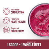 FORCE FACTOR Total Beets Organic Beetroot Powder, Superfood to Boost Daily Nutrition, USDA Organic, Vegan, Gluten-Free, and Non-GMO Beet Supplement, Unflavored, 180 Servings, 2-Pack