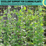DOLEMODUO 7X 60 Ft Nylon Trellis Netting, 6×6 Heavy Duty Trellis Mesh Garden Netting for Climbing Plants, Use for Tomatoes, Cucumbers, Peas, Grape Racks