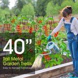 RIFNY Cucumber Trellis for Raised Bed, Garden Trellis 16.5 x 40 Inch, Black