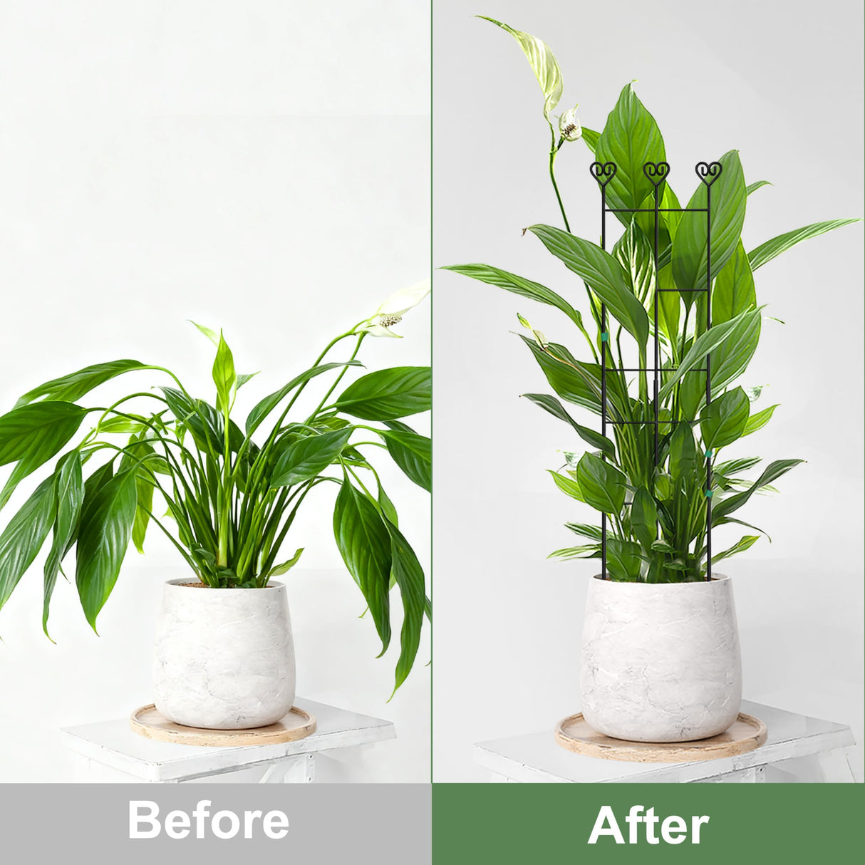 Coomin 32in Monstera Plant Support Trellis for Indoor Plants, 2P