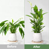 Coomin 32in Monstera Plant Support Trellis for Indoor Plants, 2P