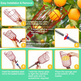 Qiullen 13 FT Extendable Fruit Picker Pole Tool Adjustable Long Handle Fruit Picker Metal Basket Fruit Grabber Tool with Protective Foam Pad Stainless Steel Garden Picker Tool for Apple Mango Lemon