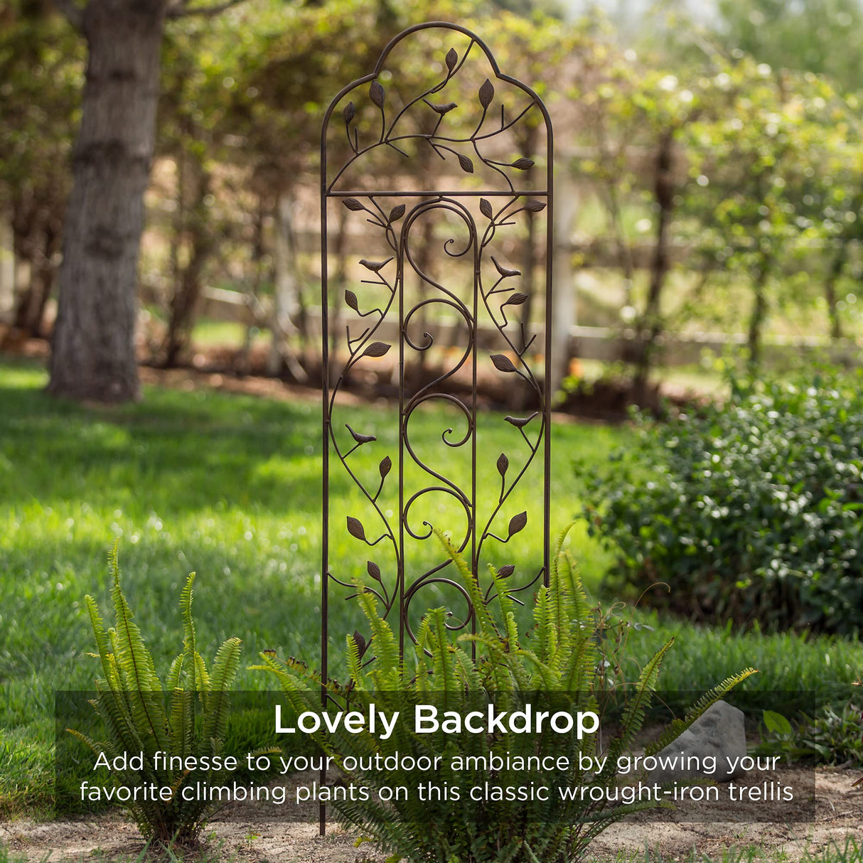 Best Choice Products Set of 2 60x15-inch Iron Arched Garden Trellis w/Branches, Birds for Lawn, Garden, Backyard, Climbing Plants
