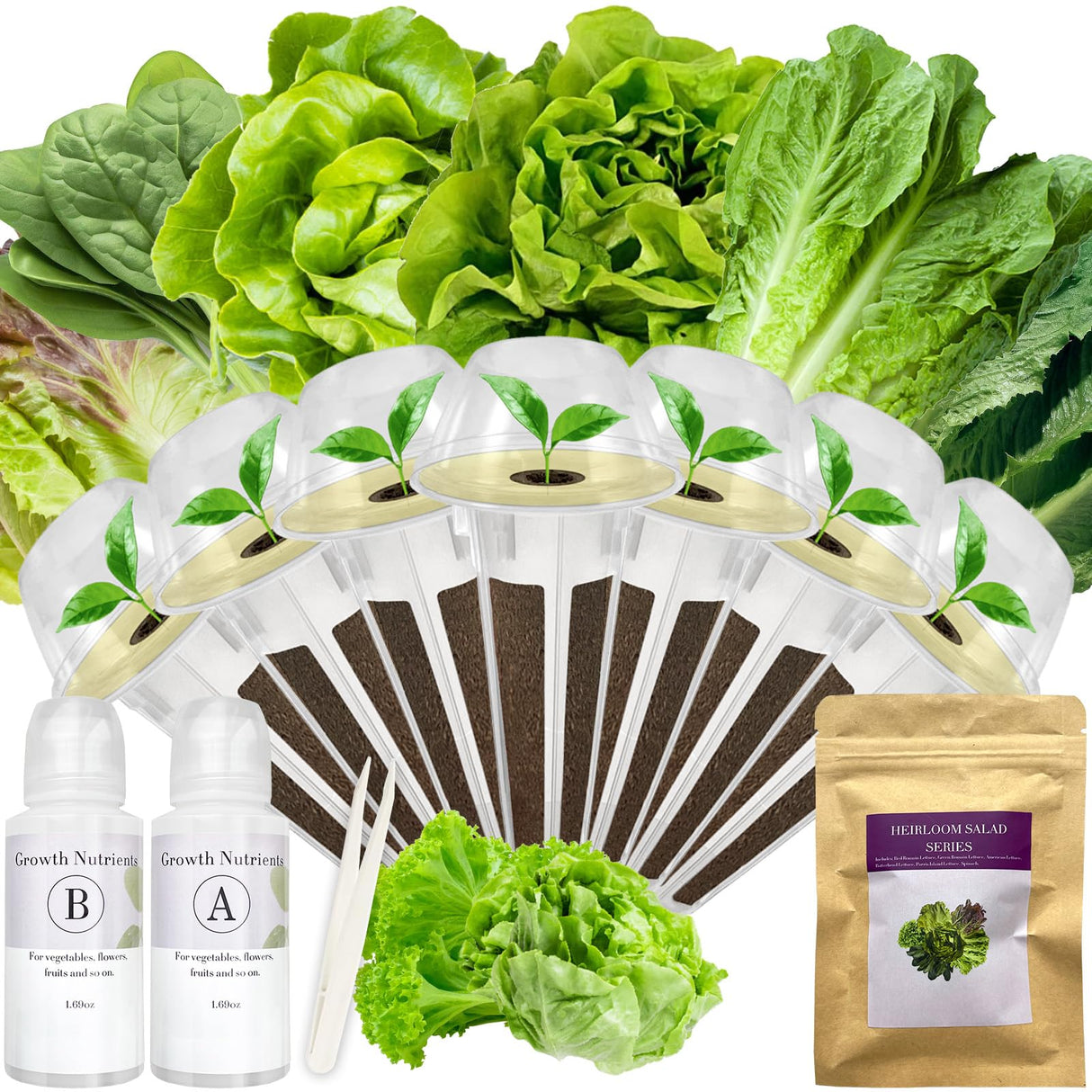 Salad Greens Seed Pod Kit for AeroGarden, iDoo with Red and Green Romaine Lettuce, American Fast/Buttercrunch/Parris Island Lettuce, and Spinach - Compatible with All Hydroponics (7-Pod)