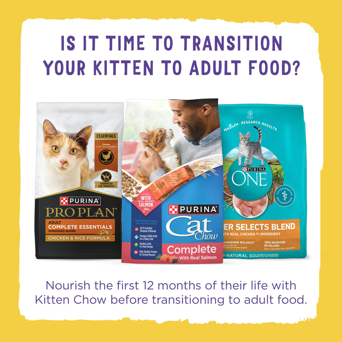 Purina Kitten Chow Year One Essentials Dry Kitten Food, 14 lb Bags