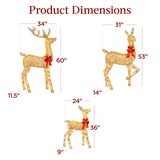 Best Choice Products 3-Piece Large Lighted Christmas Deer Family Set 5Ft Outdoor Yard Decoration with 360 LED Lights, Stakes, Zip Ties - Gold