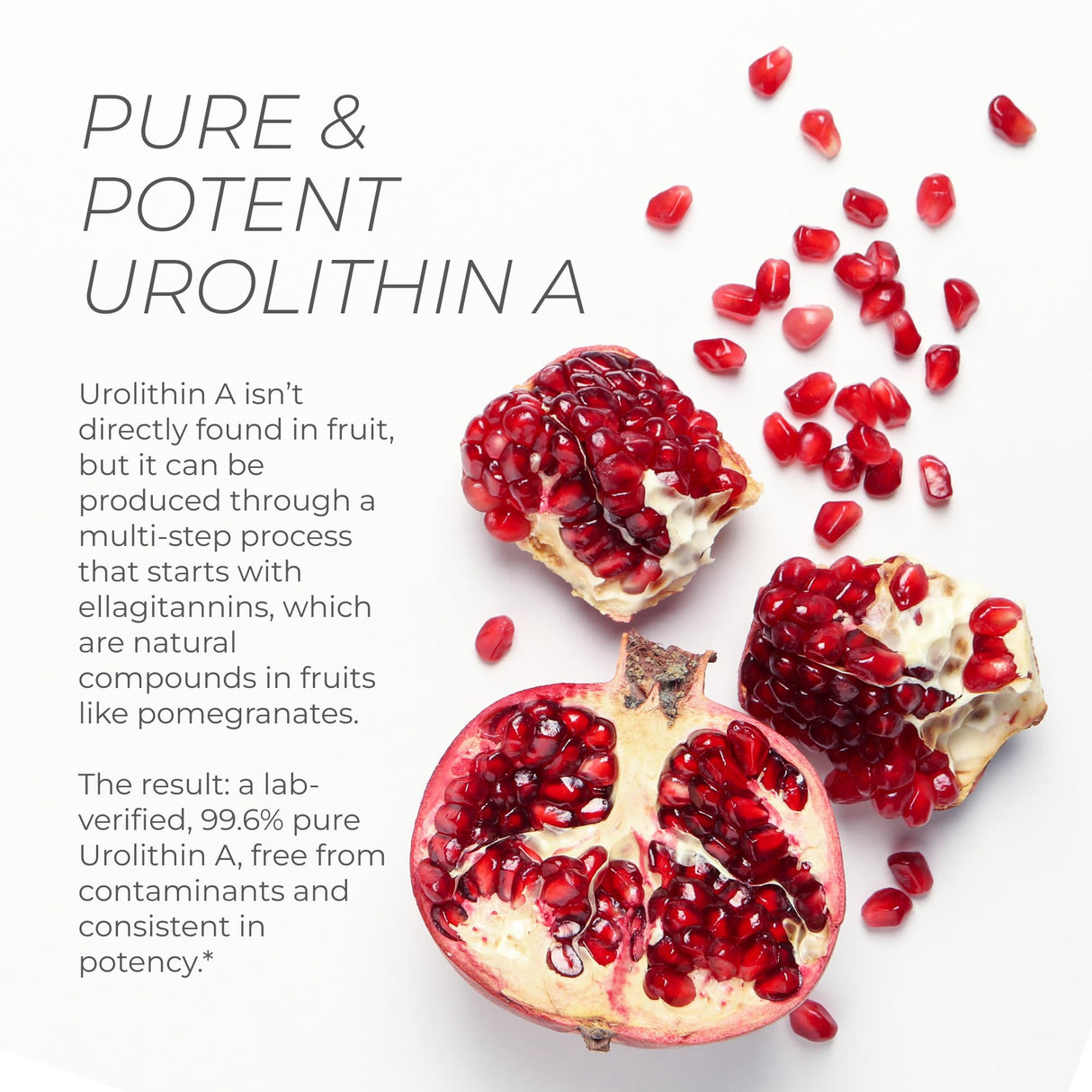 Neurogan Urolithin A PRO Capsules - 1000mg, 120 Ct - Advanced Cellular Health, Post Biotic Supplements - Ultra Micronized Urolithin A Supplement, Sourced from Pomegranate Extract