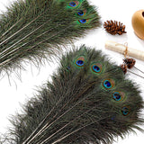 Ballinger 20pcs Natural Long Peacock Feathers 35-40 inch for DIY Craft, Party, Wedding Christmas Decoration and Floral Arrangement