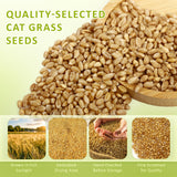 Cat Grass Kit for Indoor Cats with Wooden Planter - 5 Pack Cat Grass & 5 Coconut Soil, Complete Planting Tools, Water Sprayer, Scissors, Bonus Cat Gifts - Natural Wheat Grass for Hairball Control