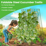 Toriexon Foldable Cucumber Trellis 48" L x 34" W