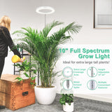 LORDEM 10" Grow Light for Indoor Plants, Full Spectrum Plant Lamp with 160 LEDs, 4H/8H/12H Timer, 6 Dimmable Levels, 3 Spectrum Modes, Height Adjustable 65", Ideal for Growing Large Tall Plants