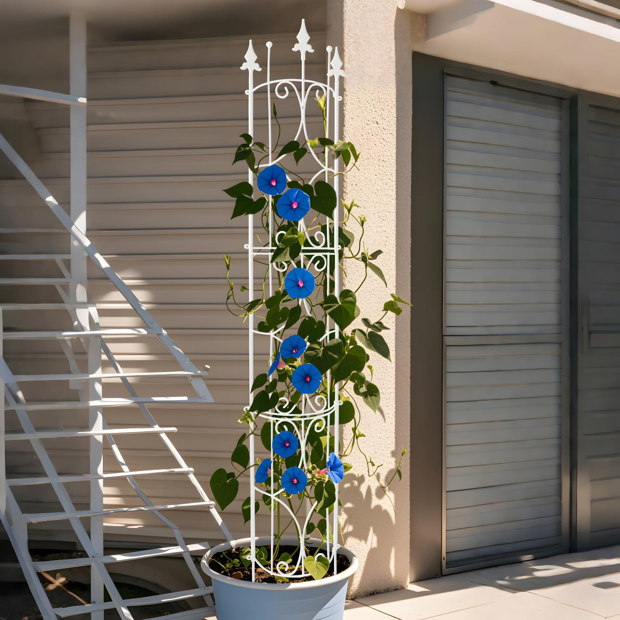 Thealyn Garden Trellis 2 Pack 72'' H x 12'' W Metal Plant Trellis
