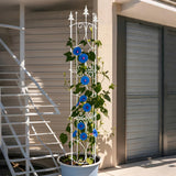 Thealyn Garden Trellis 2 Pack 72'' H x 12'' W Metal Plant Trellis