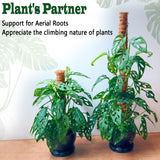 4 Pack 22 Inch Moss Poles, Stackable Moss Pole for Plants Monstera, 70 Inch Tall Moss Poles for Climbing Plants Indoor, Coir Totem Plant Support Stakes Stand for Potted Plants, Pothos