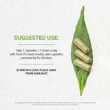 USDA Organic Cacao Capsules, 1000 mg, 120 Count - Raw Dried Theobroma Cacao Beans