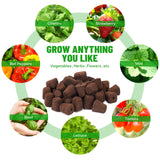 LAPOND 40 Pcs Seed Starter Plugs with Tray, Replacement Grow Sponges Plant Plugs, Great for Soil, Tray or Planting Pods, Promotes Herbs, Vegetables and Flowers Growth