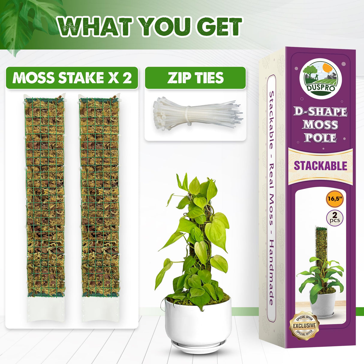 DUSPRO 2 Pack 16.5" D-Shaped Plastic Stackable Moss Poles