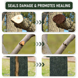 Tree Wound Sealer & Dressing, 500g Tree Pruning Sealer for Cut, Damaged Bark, Grafting – Effective Tree Repair Sealant for Shrub, Bonsai, Rose, Orchard | Horticulture Grade Seal Formula