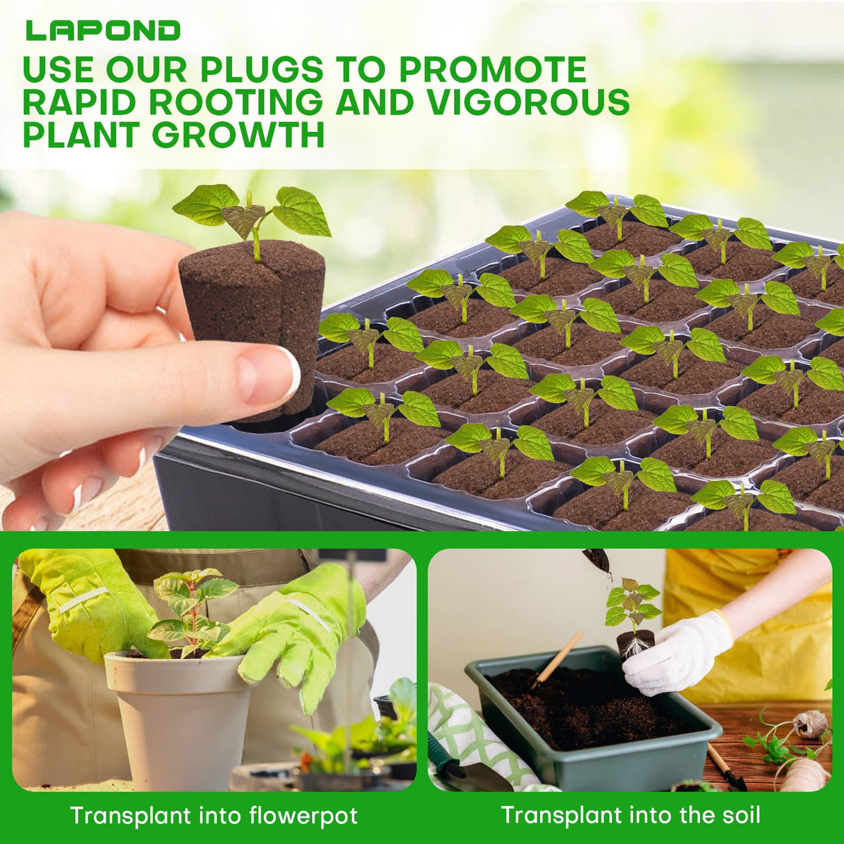 LAPOND 50 Pcs Grow Sponges,Replacement Plant Starter Plugs for Cuttings and Propagation,Great for Soil, Tray or Planting Pods, Promotes Herbs, Vegetables and Flowers Growth
