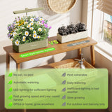 SUNCOZE Hydroponics Growing System, Compact 12 Pods Indoor Garden, Green