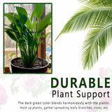6 Pack Plant Support Stakes, 15.8" Half Round Metal Garden Plant Supports for Indoor Plants, Green Plant Cage Ring for Monstera, Peony, Hydrangea, Potted Plant Holder Sticks (10" Wide)