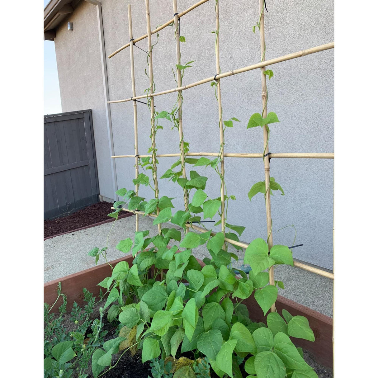 0.32”-0.4"/ 4 Feet Garden Stakes, Natural Bamboo Sticks Plant Stakes for Indoor and Outdoor Plants，Poles for Tomatoes, Beans, Potted Plants(50Pcs)