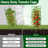 ZeeDix 65 Inch 4 Pack Heavy Duty Tall Tomato Cages for Garden