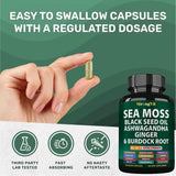 Sea Moss Black Seed Oil Ashwagandha Ginger, Organic Sea Moss Capsules with Burdock Root, Irish Seamoss Pills with Bladderwrack, Turmeric, Shilajit, Multimineral Supplement, USA (60 Capsules)