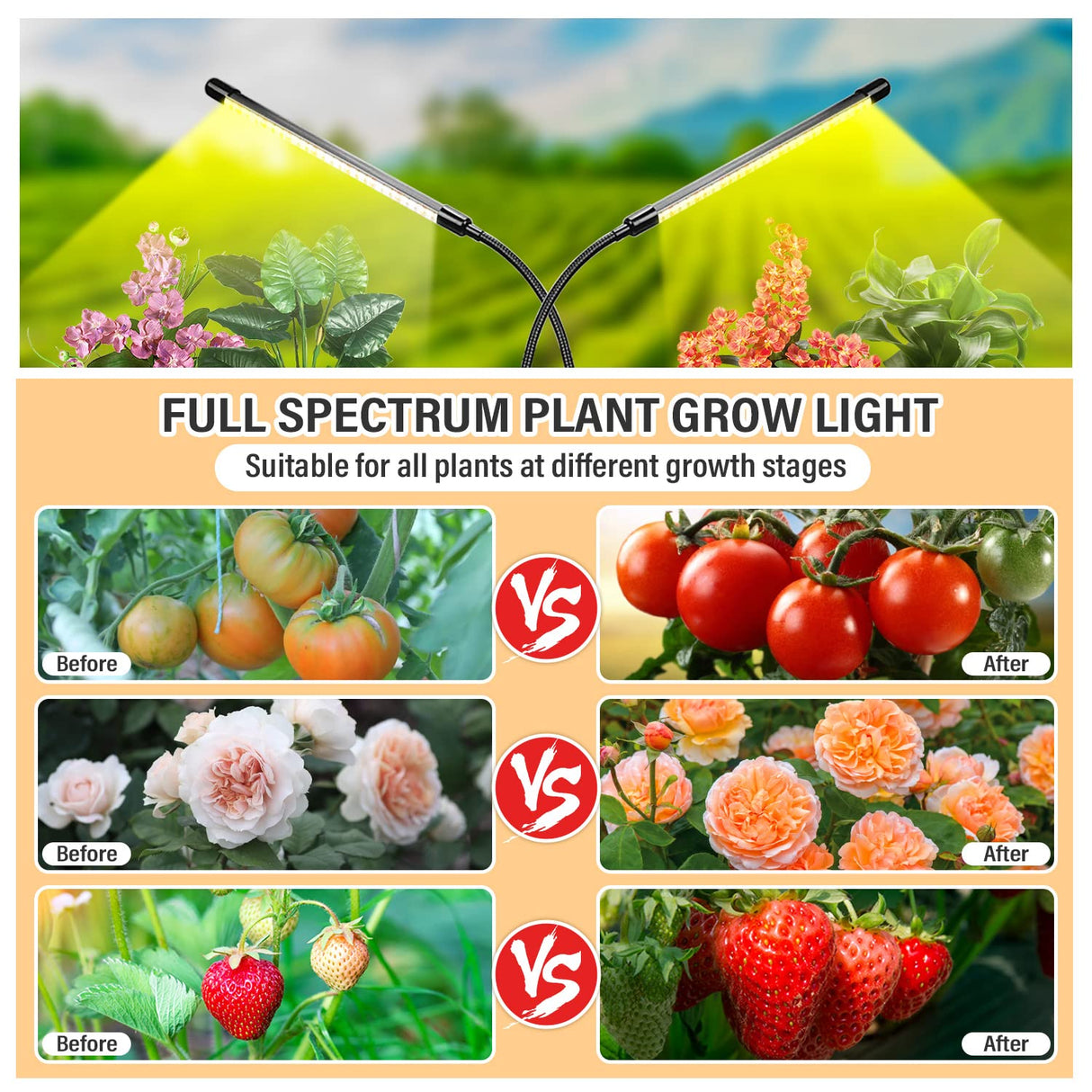 bseah Grow Light Plant Lights for Indoor Plants, Full Spectrum Led Growing Lamp with 3/9/12H Timer, Auto ON & Off, 10 Dimmable Lightness Clip-On Desk
